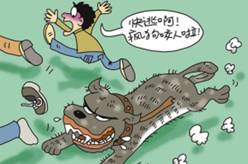 網(wǎng)站收錄在網(wǎng)站優(yōu)化中起到什么作用？