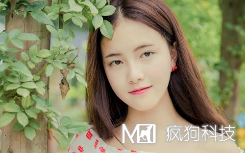 2017年網(wǎng)站推廣的20個(gè)方法策略？